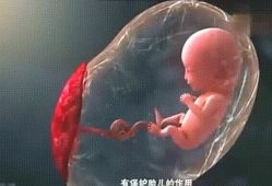 畸形胎儿胎动会频繁吗,畸形胎儿会胎动吗视频