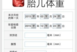 胎儿大小在线计算器（胎儿大小在线计算器mm）