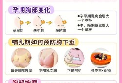 孕期胸下垂怎么办（孕期胸下垂怎么办恢复快）