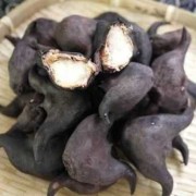 孕妇吃菱角对胎儿好吗（宝宝可以吃菱角吗）