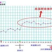 早孕期间体温会升高吗（早孕体温升高持续多久？这个时候我们该如何是好呢）
