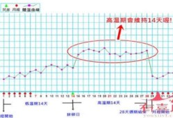 早孕期间体温会升高吗（早孕体温升高持续多久？这个时候我们该如何是好呢）