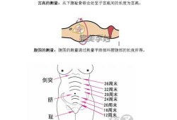 孕期腹围怎么测量（孕期腹围怎么测量图）