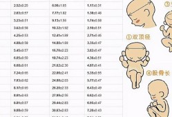 bpd90mm胎儿有多大（孕三十七周宝宝双顶径90,股骨70宝宝有多少斤了）