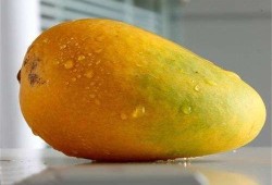 孕期芒果（孕期芒果能吃吗）