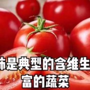 孕期西红柿（孕妇能吃黄瓜西红柿吗?因为黄瓜西红柿我是喜欢生吃的）