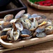 孕妇能吃花甲嘛,孕期可以吃花甲吗中期