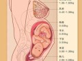 孕期几天（一般怀孕多久生孩子）