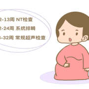 胎儿几厘米可以做nt（新吉翁nt多大）