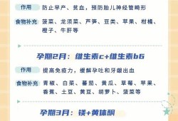 孕期补充营养（孕妇该怎么补充营养）