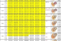 40周胎儿发育标准表（40周胎儿发育标准表图片）