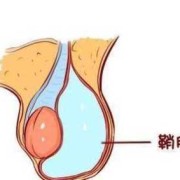 胎儿阴囊发育时间（胎儿阴囊发育时间表）