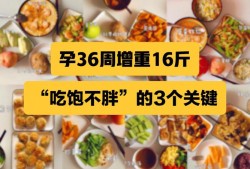 孕期容易发胖（为何我一怀孕就会胖，我一天才吃两顿饭，为什么）