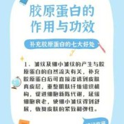 胶原蛋白对胎儿的好处（胶原蛋白对胎儿的好处和坏处）