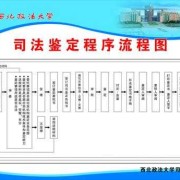 胎儿司法鉴定（胎儿司法鉴定程序过程）