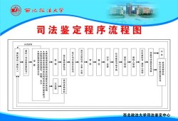 胎儿司法鉴定（胎儿司法鉴定程序过程）