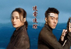 孕期跟踪（迷雾追踪孕妇妈妈最后结局）