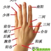 孕期穴位（孕期位置图）