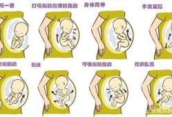 人的头可以碰到自己的肚子吗,孕期不小心碰到肚子对胎儿有影响吗