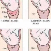 胎儿入盆自己怎么摸（胎儿进入产道怎么知道）