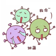 胎儿超声心动图报告单（胎儿超声心动图报告单解读）