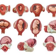 孕34周就入盆正常吗,怀孕34周胎儿入盆了吗正常吗