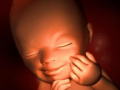 怀孕19周胎儿在什么位置（怀孕19周胎儿在什么位置正常）