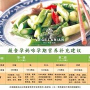 孕期素食（孕期素食）