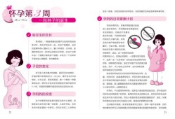 40周孕期全程手册（母子手册几周办理）