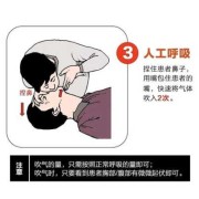 胎儿停止心跳会复苏吗（心肺复苏全称）