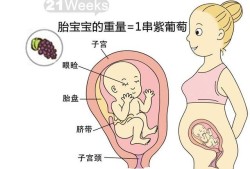 怀孕三十周胎儿发育情况（怀孕30周，胎盘0级，正常吗）