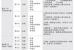 孕期系统b超（产检it是什么项目）