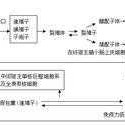有弓形虫的患者吗，本人怀孕四个月检查弓形虫阳性，怎么办,养狗感染弓形虫几率大吗