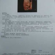 胎儿三维图片（胎儿三维图片怎么看男女）