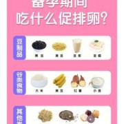 备孕期间吃什么比较好（备孕期间吃什么补卵子）
