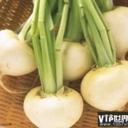 孕期吃了萝卜后不舒服的情况，有什么不好的问题的,孕期吃的不好,宝宝出生容易生病吗