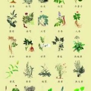 哪些中药对胎儿有影响（哪些中药对胎儿有影响）