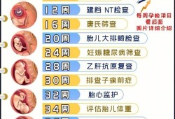 我怀孕满32周了，我想问一下孕32周后多久去医院检查一次比较好,孕期检查时间表一览表