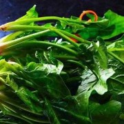 孕妇吃波菜对胎儿好吗（孕妇吃波菜对胎儿好吗有营养吗）