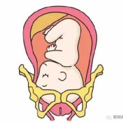 怀孕几个月胎儿入盆呢？一般情况什么时候胎儿入盆,孕晚期胎儿入盆是什么感觉和症状
