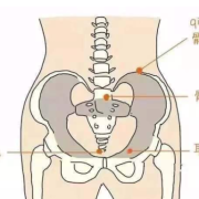 孕期骨盆痛怎么办,孕期骨盆痛位置图