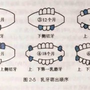胎儿就长牙（婴儿何时长牙）