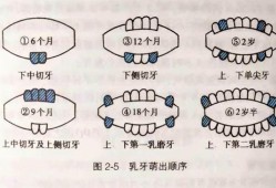 胎儿就长牙（婴儿何时长牙）