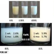 孕期分泌乳汁（怀孕几个月会分泌初乳）