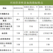 贫血胎儿（贫血胎儿会发育偏小吗）