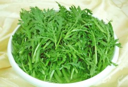 孕期能吃茼蒿吗（痛风能不能吃茼蒿吗）