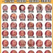 胎儿小怎么补（胎儿小怎么补）