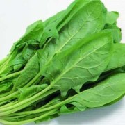 怀孕吃菠菜对胎儿好吗（怀孕吃菠菜对胎儿好吗有影响吗）