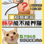 孕妇养猫对胎儿的危害（孕妇养猫对胎儿的危害有多大）