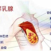 孕期乳腺增生怎么办（孕期乳腺增生怎么办）